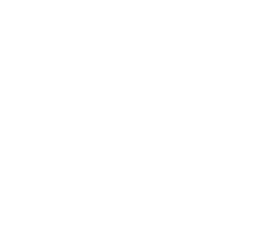 Airmid Academy Logo